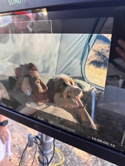BLUEHOUR, bts: Camp Solved (fig. 7)